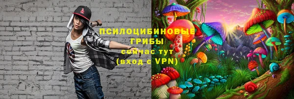 ALPHA PVP Алексеевка