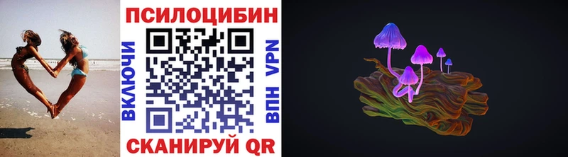 Псилоцибиновые грибы Psilocybine cubensis  Бабушкин 